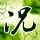 重庆森林